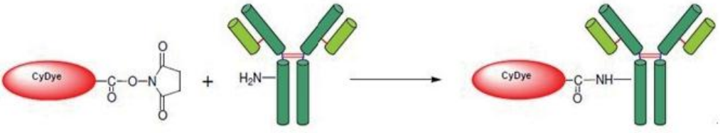 5f310aa069415.png image.png