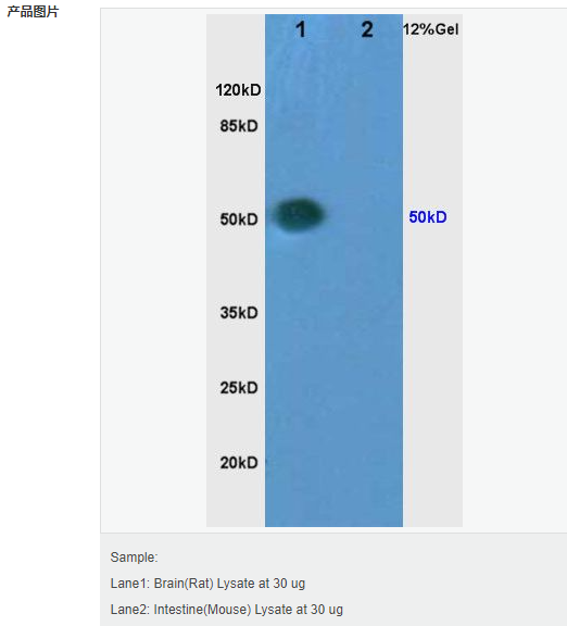 6063cb45a3bea.png image.png