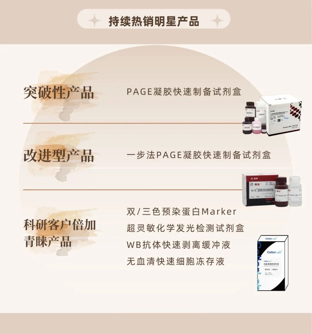 6481727dc8b35.jpg 640 (1).jpg