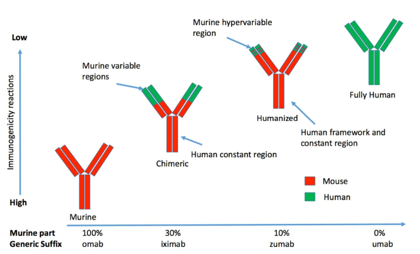 66cc12504d14b.png image.png